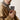 Samsung S25 Series